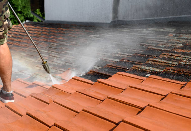 Best Roof Power Washing Services  in Hilton Head Island, SC
